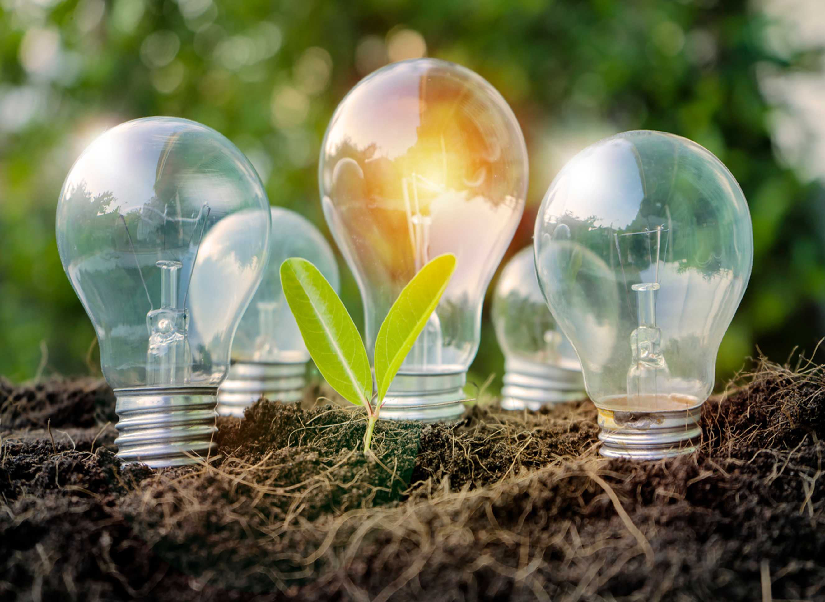 Renewable Energy Solutions & Services